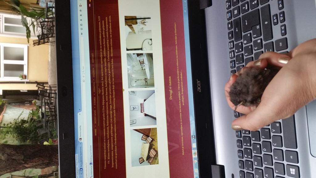 Apartments & Rooms Vienna 오시예크 외부 사진
